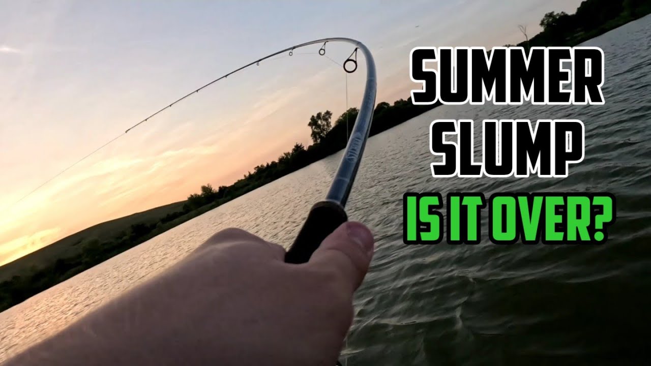 Summer Bass Fishing Slump Is It Over Yet