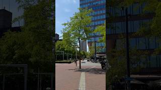 #rotterdam #travel #nederlands #travelguide #rotterdamcity #nederlandse #traveling #traveltips #trip