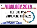 Virology Lectures 2019: Viral Gene Therapy