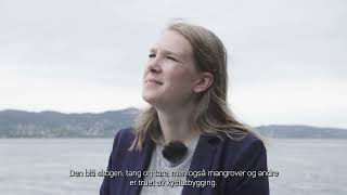 For å endre et system må vi tenke systemisk | Hanne Fjerdingby Olsen | Peter Haugan