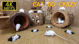CAT TV: SNEAKY SQUEAK LOG CABIN PEEK-A-BOO! 🐭 3 HOURS OF MULTI-LEVEL MOUSE MAZE screenshot 1