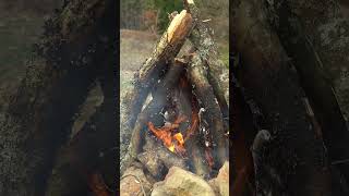 Practical firewood transport system - Solo Camping  #camping