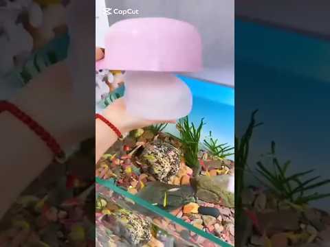 اوعى تعمل كده