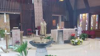 May 31, 2026 The Solemnity of the Most Holy Trinity