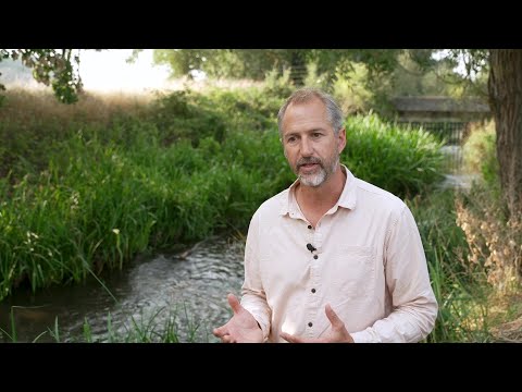 Protecting our rivers - The Rivers Trust | Adapting for Tomorrow's Environment