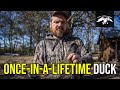 Justin Martin Takes Down RARE Duck | Louisiana & Arkansas Duck Hunt