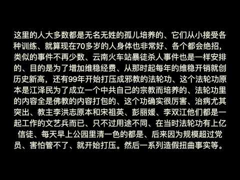 张子强、彭丽媛、宋祖英、李洪志
