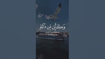 جزاك الله خير 😇 لانك لم تقاطع القران الكريم