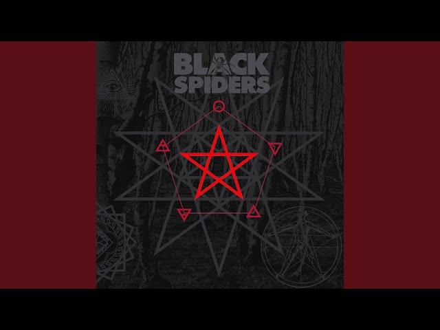 Black Spiders - Wizard shall not kill Wizard