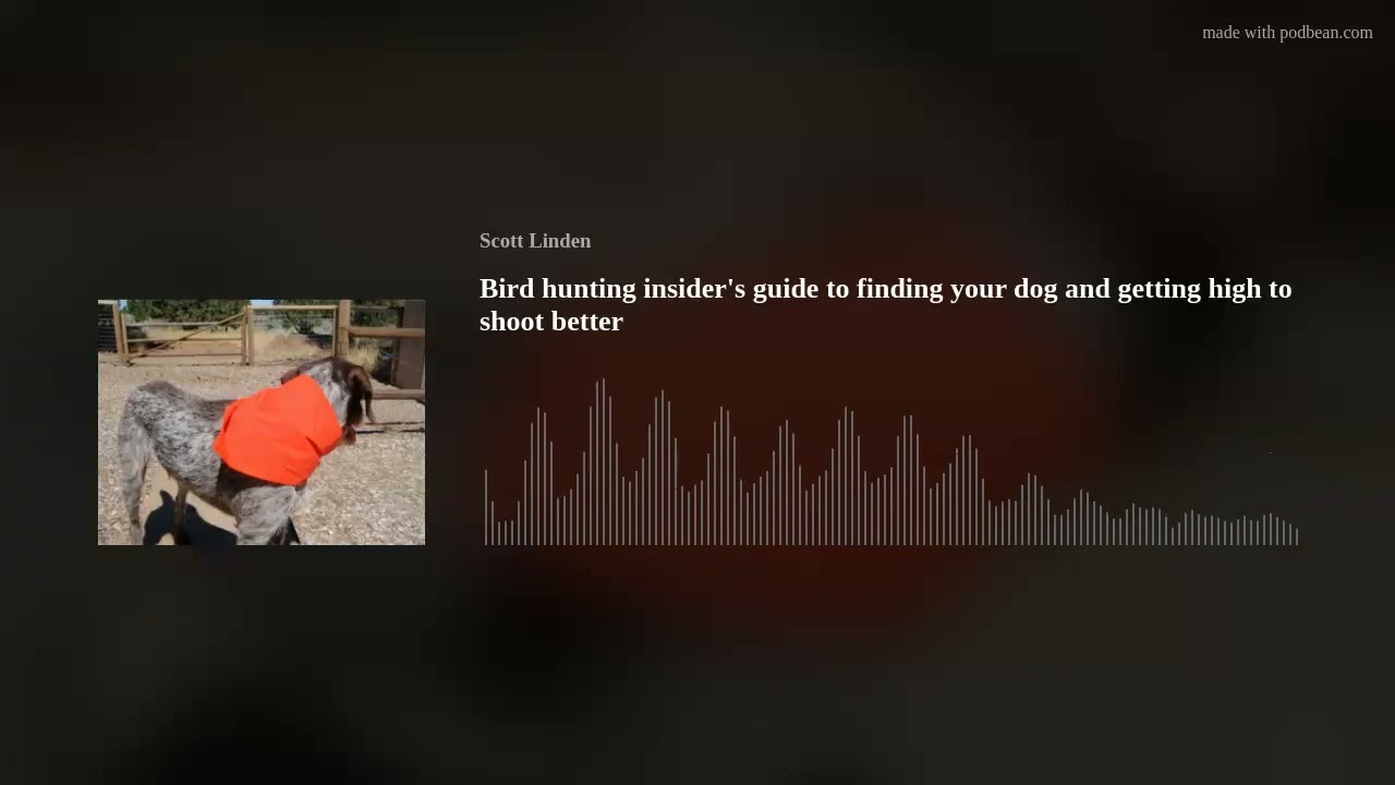 Bird hunting insider's guide to finding your dog and getting high to shoot better