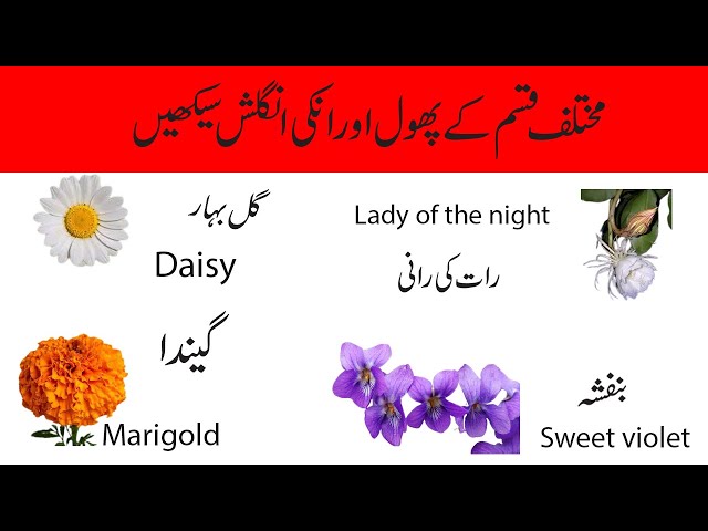 Flowers Name In Urdu And English With