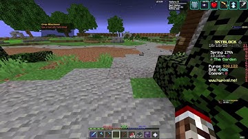 Day 165- Hypixel Skyblock Ironman