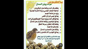 فوائد بيض السمان 