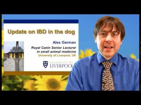 veterinary-video:-update-on-ibd-in-the-dog-by-dr.-alex-german