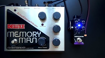 Pigtronix Constellator vs. Electro Harmonix Deluxe Memory Man