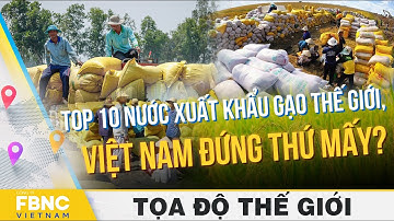 Top 10 nước xuất khẩu gạo thế giới, Việt Nam đứng thứ mấy?, Tọa độ thế giới | FBNC