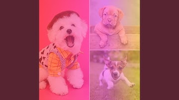 Pulsating Ambience for Cutest Pups