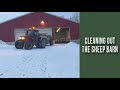 Cleaning Out the Sheep Barn: vlog #3