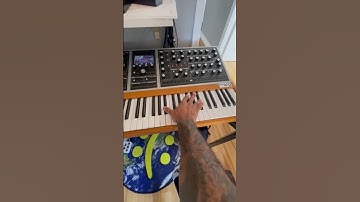 Beat Cookup Using The SCORCH PLUGIN  #producer