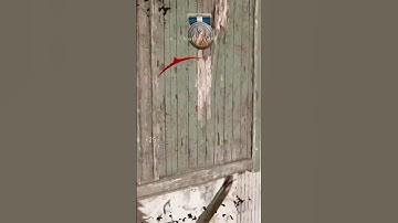 Silly nerds!!! | #ww2 #callofduty #trickshot #cod #clips #XIorDie