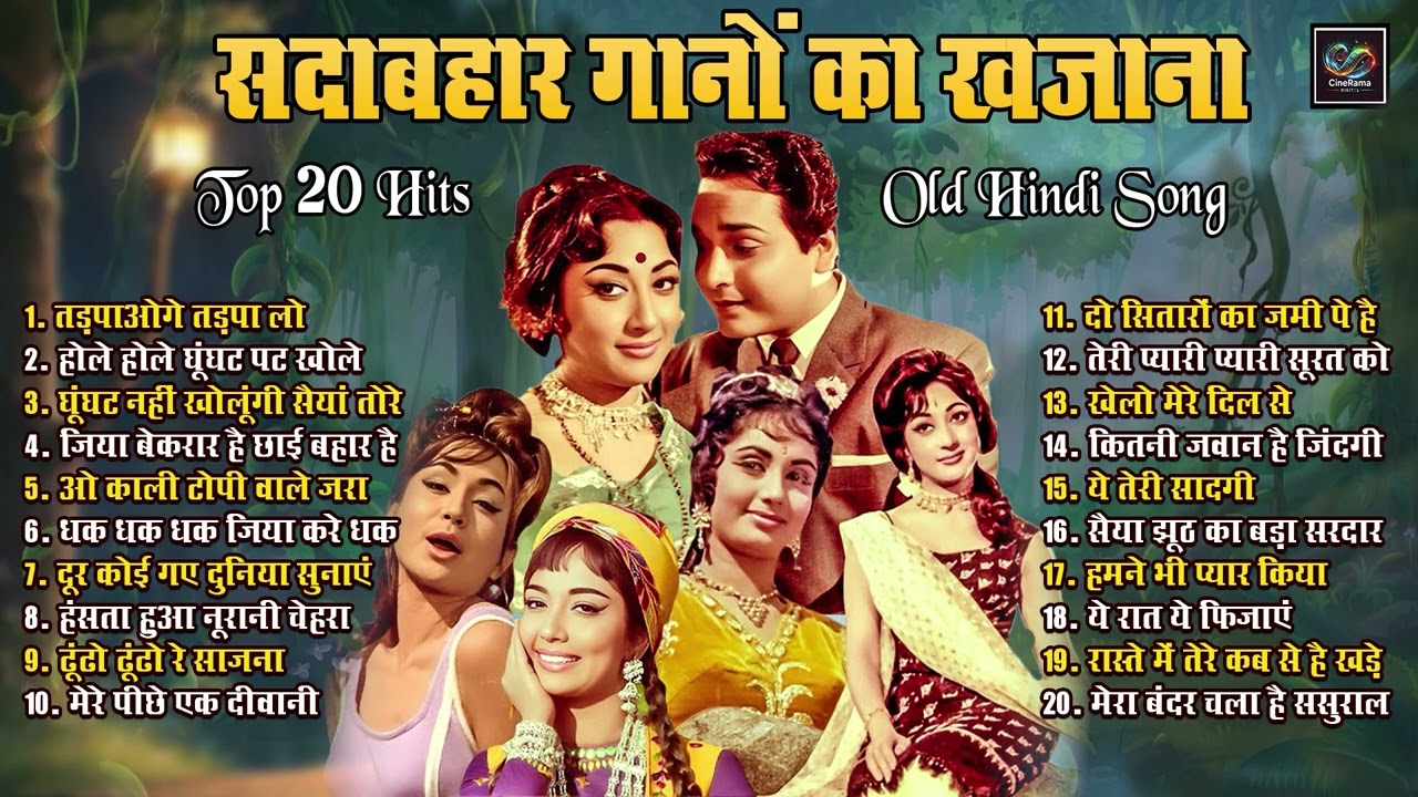 Top20 सदाबहार गानों का खजाना Old Hindi Song | तड़पाओगे तड़पा लो | ढूंढो ढूंढो रे साजना | Viral Songs