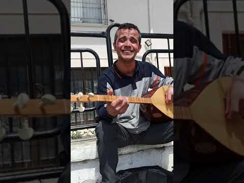 Tolga Türkdoğan /