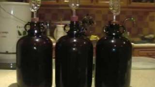 How to Make Wine from Grapes at Home