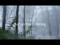 Relaxing guitar music  air on the g string  relaxation sleep study reading soothing