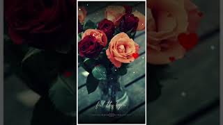 Kadhalar dhinam Roja.. Roja.. sad version