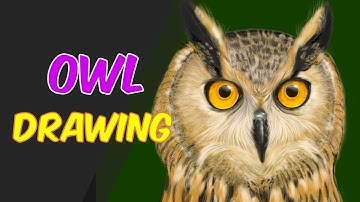 How to Draw an Owl on Procreate DIGITAL Drawing/Painting (Time Lapse)