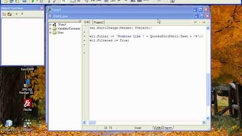 BUSQUEDA INCREMENTAL EN DELPHI - VIDEO 03