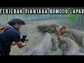 DETIK DETIK REKAM MOMEN KOMODO MAKAN SECARA ALAMI DIALAM