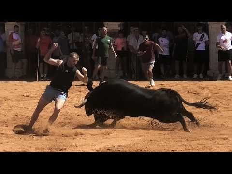 La Seca 2026 Encierro y Capea con Toros Bravos