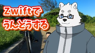 【Zwift】習慣にしたいから配信する【Vtuber/北見ユウ】