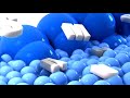 Samsung Logo Balls Effects (Sponsored by SLBTVE9032)