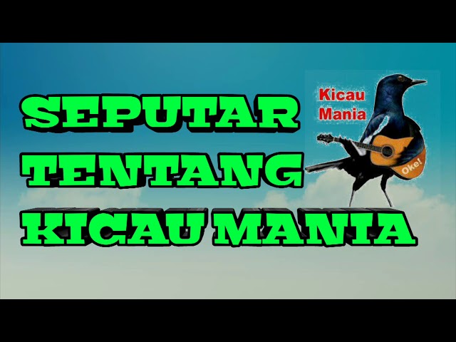 INTRO Seputar Tentang Kicau Mania class=