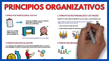 ¿Quiénes son los principios de una empresa?