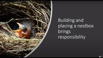 How to Monitor Nestboxes