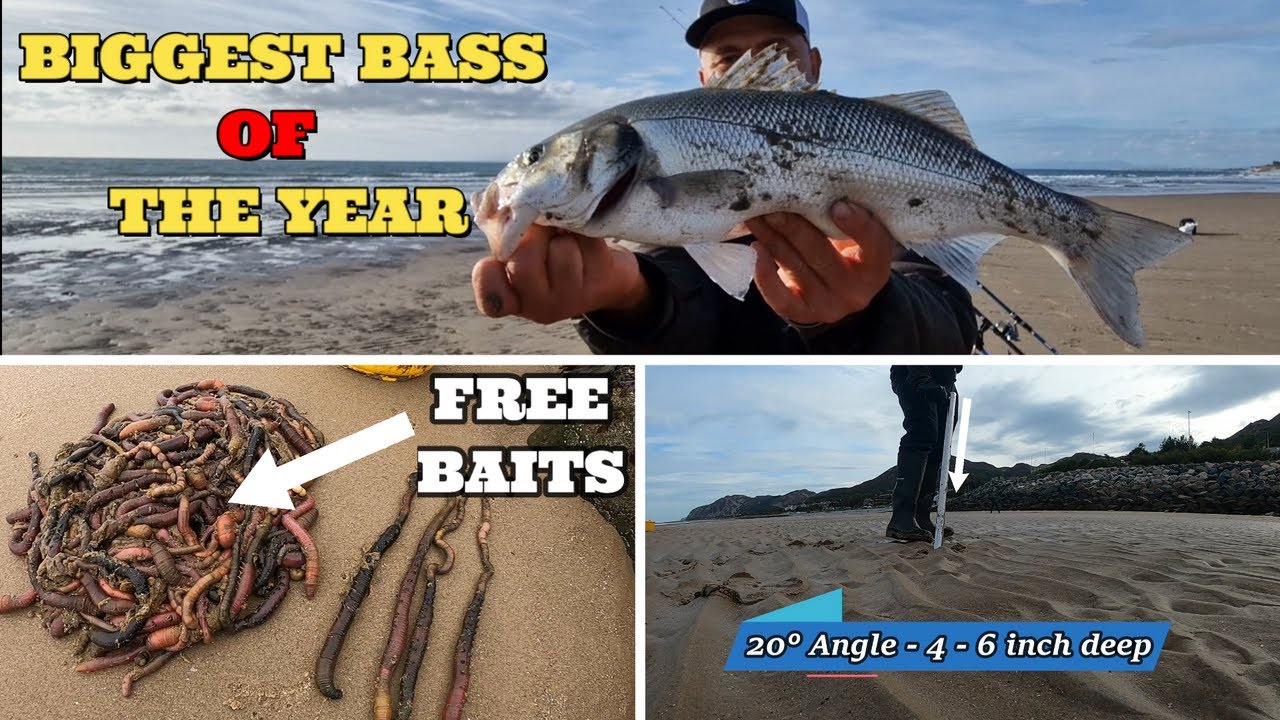 BASS FISHING | BASS GO CRAZY FOR THIS BAIT | BASS AFTER BASS | SEA FISHING UK | MASTERFISHERMAN