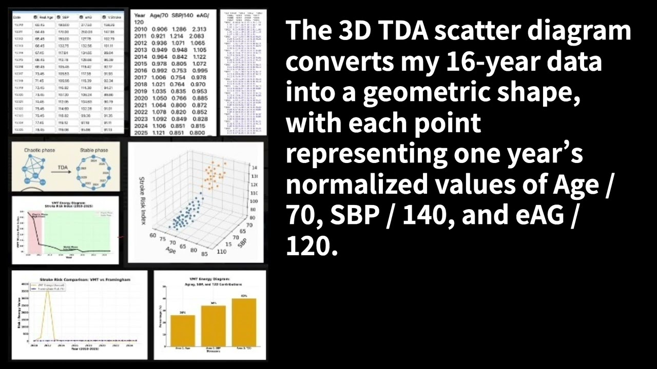 Stroke Risk Estimation Using Viscoplastic Energy Method (VMT) of Physics and ...  (No. 1377)