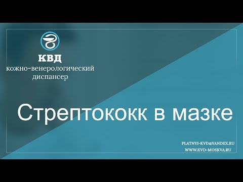 252  Стрептококк в мазке