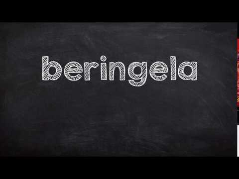 Video: Aubergine In Portugees