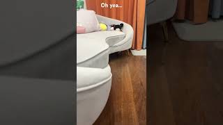 You Gotta Be Tripping. I Could Have Grown Taller All These Years.