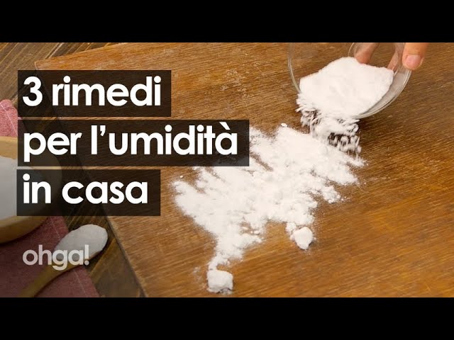 Come realizzare un assorbi umidità fai da te per asciugare i muri