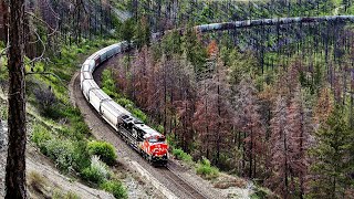 MASSIVE CANADIAN GRAIN TRAINS RUNNING THRU THE DANGEROUS THOMPSON CANYON SHEDS & TUNNELS!