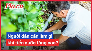 Hóa đơn tiền nước tăng cao, người dân cần làm gì?