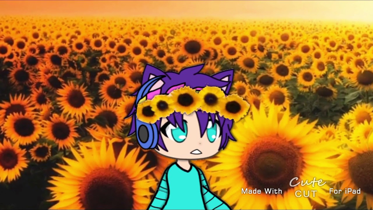 Sunflower meme. YouTube