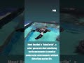 Meet RoboTurtle: The Future of Eco-Friendly Underwater Monitoring