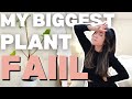 My biggest plant fail i ficus keiki cloning paste repotting watering plants