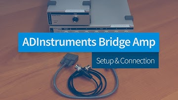 How to Connect the Bridge Amp to PowerLab and LabChart